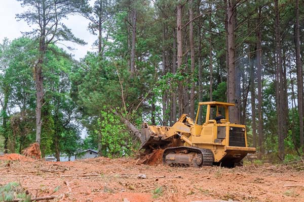 Land clearing in Chagrin Falls Ohio property preparation