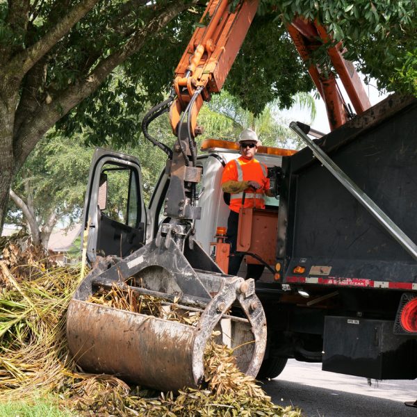 vegetation being cleared by chagrin valley in ohio vegetation removal services