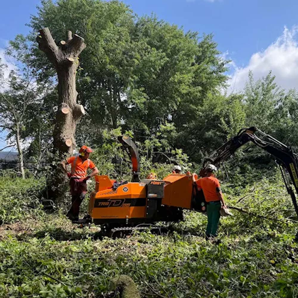 Professional vegetation removal service improving land usability in Chagrin Falls